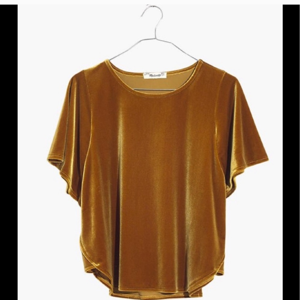 Madewell butterfly velvet top